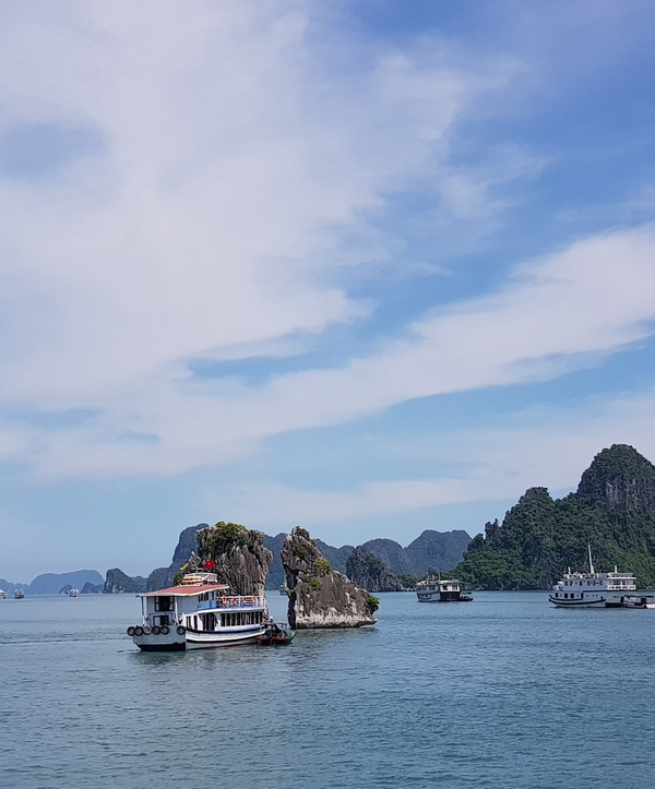 Halong bay day trip