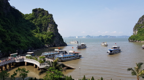 best halong bay tours