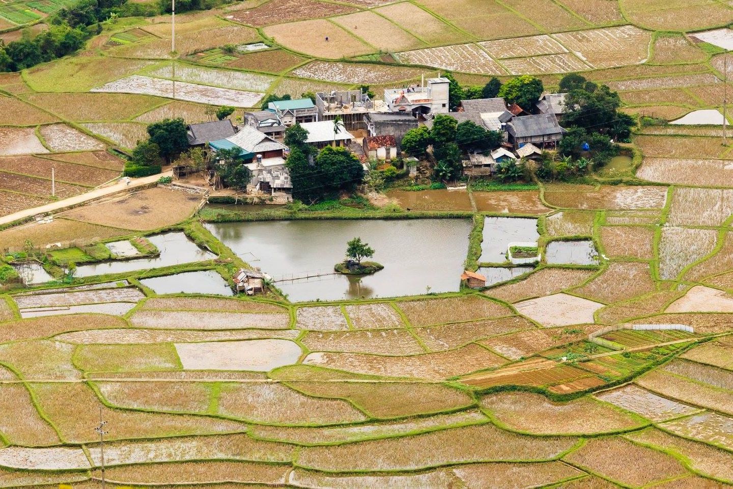 Rice paddies in Mai Chau