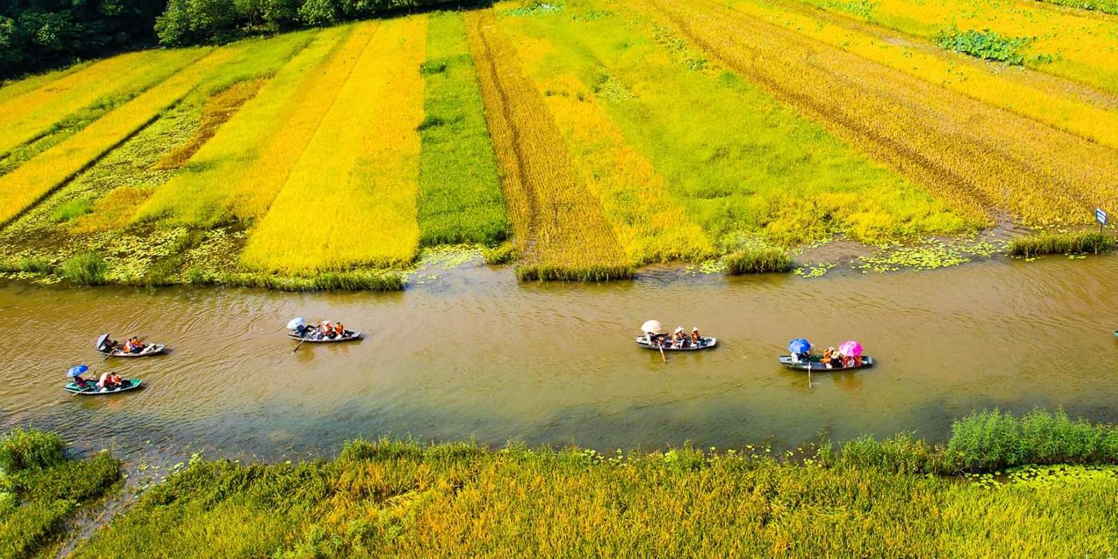 ninh binh day trip